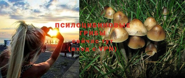 бошки Вязьма