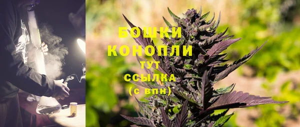 молекула духа Волосово