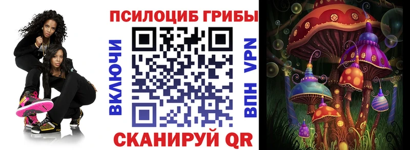 Галлюциногенные грибы Psilocybine cubensis Калининск