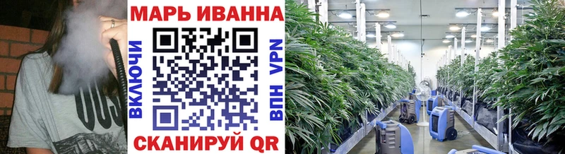 Каннабис Amnesia  Калининск 